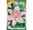Lilium asiatic -  pink/1 ks