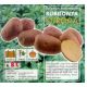 Holandské sadivo zemiakov / minihľuzy 50ks - KURODA