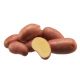 Holandské sadivo zemiakov / minihľuzy 50ks - CORAZON