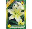 Lilium - white-yellow/1 ks