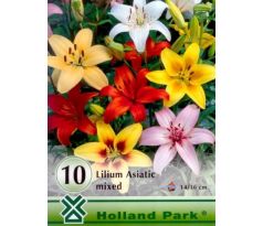 Lilium asiatic - mixed 10 ks