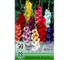 Gladiolus large flowered - mixed 50ks