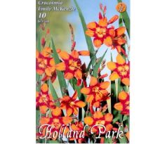 Crocosmia Emily McKenzie