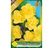 Narcissus  - Yellow Cheerfulness / 5ks v balení