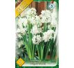 Narcissi Indoor - Totus Albus Paperwhite / 5ks v balení