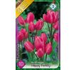 Tulipa - Happy Family / 10ks v balení