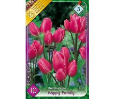 Tulipa - Happy Family / 10ks v balení