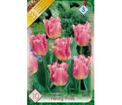 Tulipa - Fancy Frills / 10ks v balení