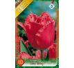 Tulipa - Red Wing / 10ks v balení