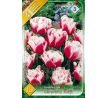 Tulipa - Gerbrand Kieft / 10ks v balení