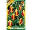 Tulipa - Stresa / 8ks v balení