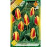 Tulipa - Stresa / 10ks v balení