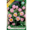 Tulipa Botanical - Bakeri Lilac Wonder / 10ks v balení