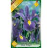 Iris hollandica - Blue Magic / 10ks v balení