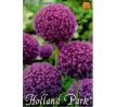 Allium Giganteum / 1ks v balení