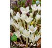 Colchicum autumnale - Album-Jesienka / 1ks v balení