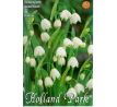 Leucojum aestivum / 5ks v balení