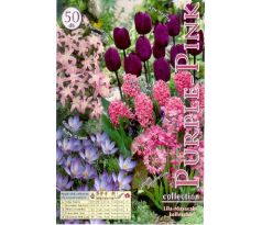 Collection - Purple-pink / 50 ks