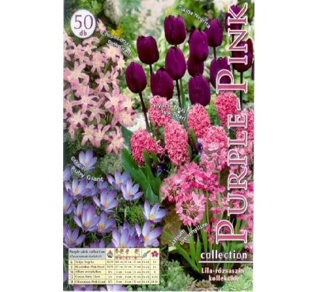 Collection - Purple-pink / 50 ks