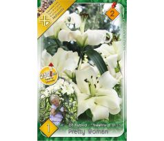 Lilium -  Pretty Woman/1 ks