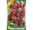 Lilium martagon - Claude Shride/1 ks