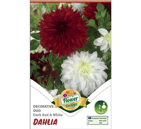 Dahlia - Duo Dark RED & White