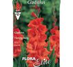 Gladiolus - Hunting Song