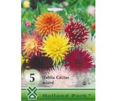 Dahlia - LP Cactus mixed/5ks