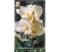 Canna - Vanilla Cream