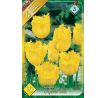 Tulipa - Crystal Star/ 10ks v balení