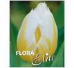Tulipa - Flaming Coquette / 10 ks v balení