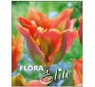 Tulipa Viridiflora - Artist