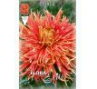 Dahlia - Show´n´ Tell