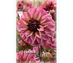 Dahlia - Senior´s Hope
