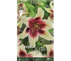 Lilium - Zeba/2ks