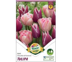 Tulipa Duo Claudia & Foxtrot / 8ks v balení