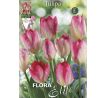 Tulipa - Flaming Purissima