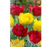 Tulipa Double Early - Red & Yellow / 10ks v balení