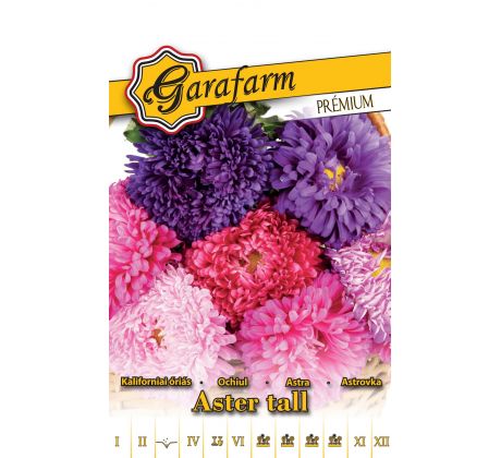 Astra kalifornská -  zmes farieb