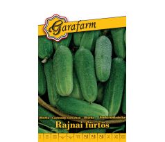 Uhorka siata Rajnai fürtös - nakladačka