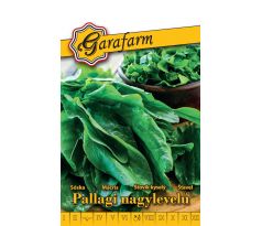 Šťaveľ Pallagi nagylevelű  - veľkolistý