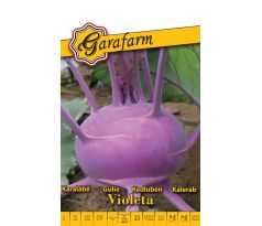 Kaleráb Violeta - neskorý modrý