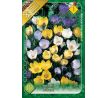 Crocus chrysanthus/botanical - Mixed / 10ks v balení
