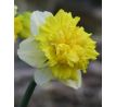 Narcissus - Full House