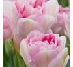 Tulipa - Angelique / 10ks v balení