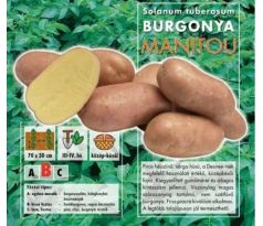 Holandské sadivo zemiakov / minihľuzy 50ks - MANITOU