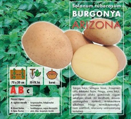 Holandské sadivo zemiakov / minihľuzy 50ks - ARIZONA