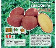 Holandské sadivo zemiakov / minihľuzy 50ks - ESMEE