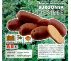 Holandské sadivo zemiakov / minihľuzy 50ks - DESIREE