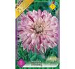 Dahlia Decorative - Smokey